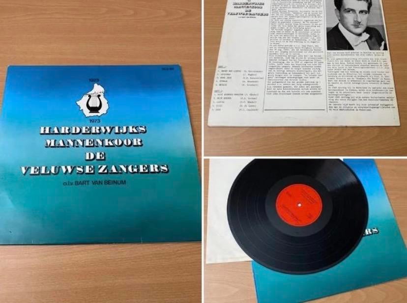 Harderwijks Mannenkoor De Veluwse Zangers LP, Cd's en Dvd's, Ophalen of Verzenden, Gebruikt, 12 inch
