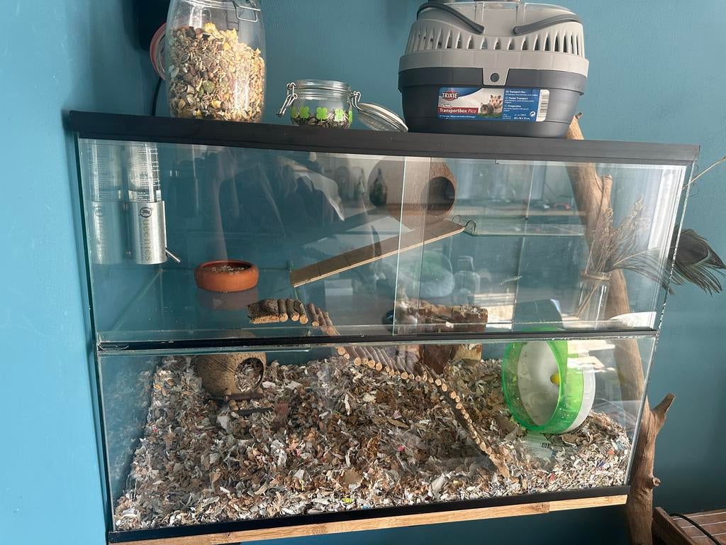 Terrarium voor reptielen of kleine knaagdieren, 2 plateaus, Gebruikt, Muis, Hok, 75 tot 110 cm