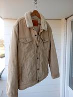 Levi jas met teddy voering (maar XL), Ophalen of Verzenden, Zo goed als nieuw, Maat 56/58 (XL)