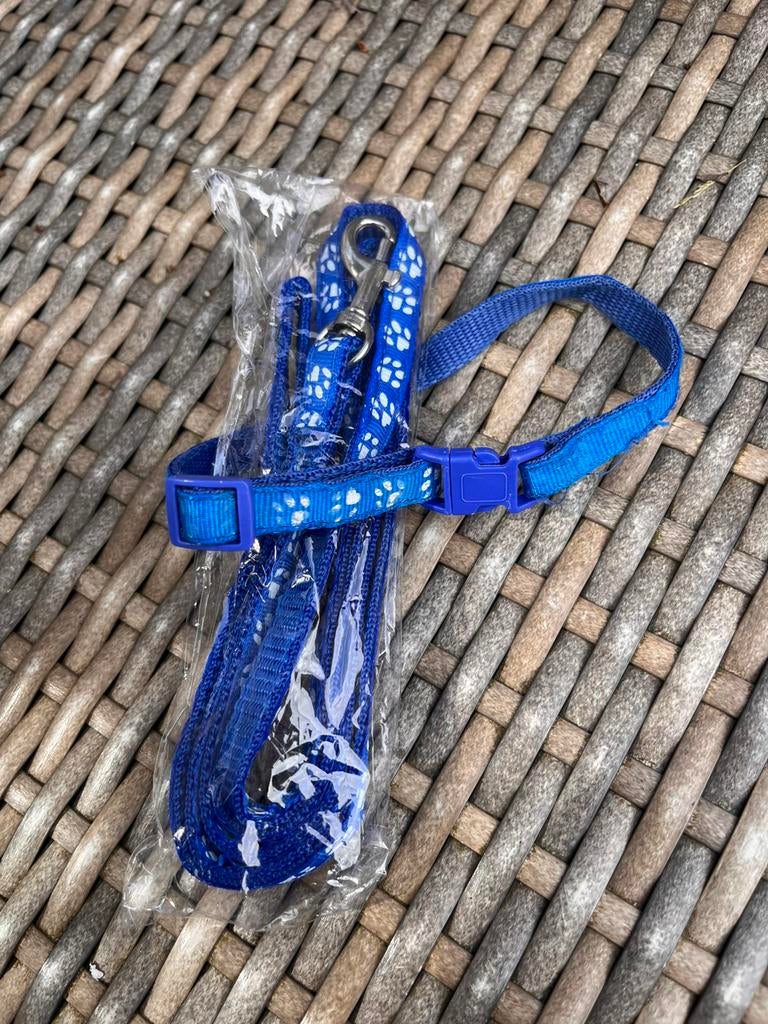 Eerste riempje en halsbandje pup, Dieren en Toebehoren, Ophalen, Zo goed als nieuw