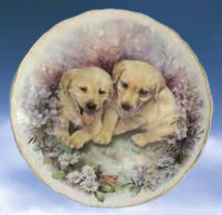 Royal Kent Puppies Plate Bord 25 cm, Ophalen of Verzenden