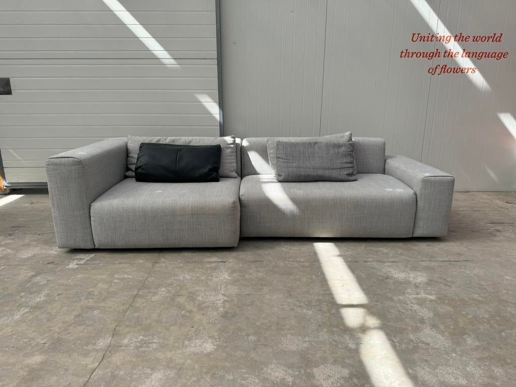 Ruime Grijze Montèl Loungebank | Professioneel gereinigd, Montèl, 250 tot 300 cm, Gebruikt, Mijnsherenweg