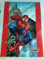 SPIDERMAN   FILMPOSTER   70-100 cm, Ophalen of Verzenden, Zo goed als nieuw, Deurposter of groter, Film en Tv