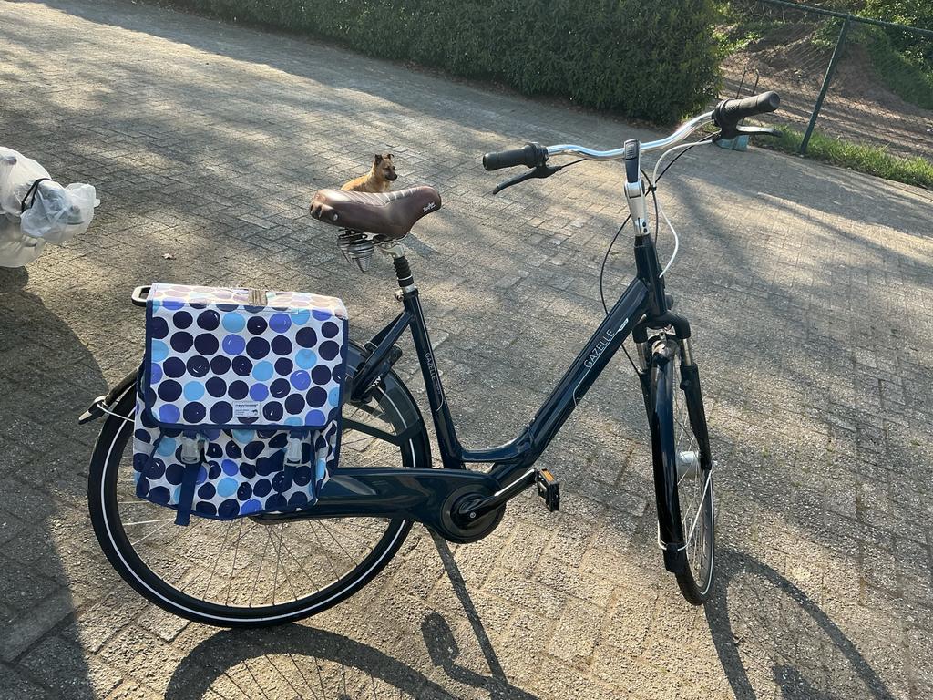 Gazelle Orange c7 fiets, Ophalen, Versnellingen, 56 cm of meer, Zo goed als nieuw