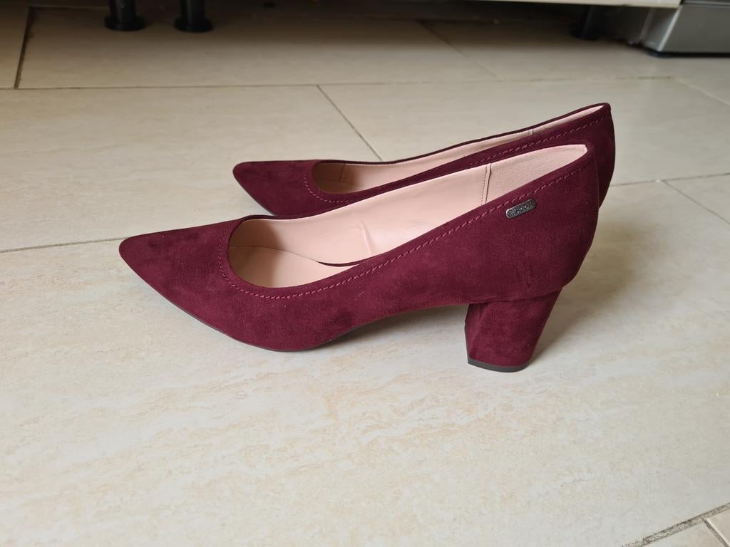 Esprit schoenen Nieuw, Kleding | Dames, Schoenen, Ophalen, Nieuw, Sneakers of Gympen