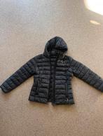 Napapijri zwarte gewatteerde jas met capuchon, maat L, Kleding | Dames, Ophalen of Verzenden, Zo goed als nieuw, Maat 42/44 (L)