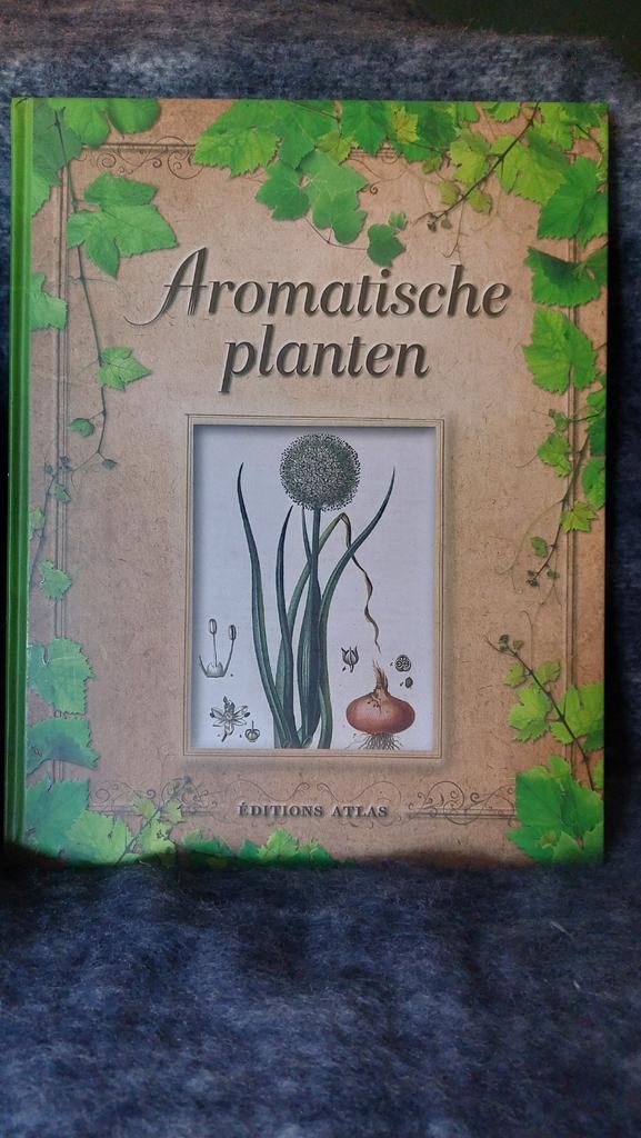 Aromatische planten - Ontdek de kracht van kruiden, Boeken, Ophalen of Verzenden, Zo goed als nieuw, Onbekend, Tuinieren en Tuinplanten