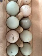 Verse eendeneieren, Diversen, Levensmiddelen, Ophalen of Verzenden