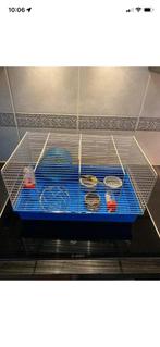 Hamsterkooi, Dieren en Toebehoren, Minder dan 60 cm, Minder dan 75 cm, Ophalen of Verzenden, Zo goed als nieuw