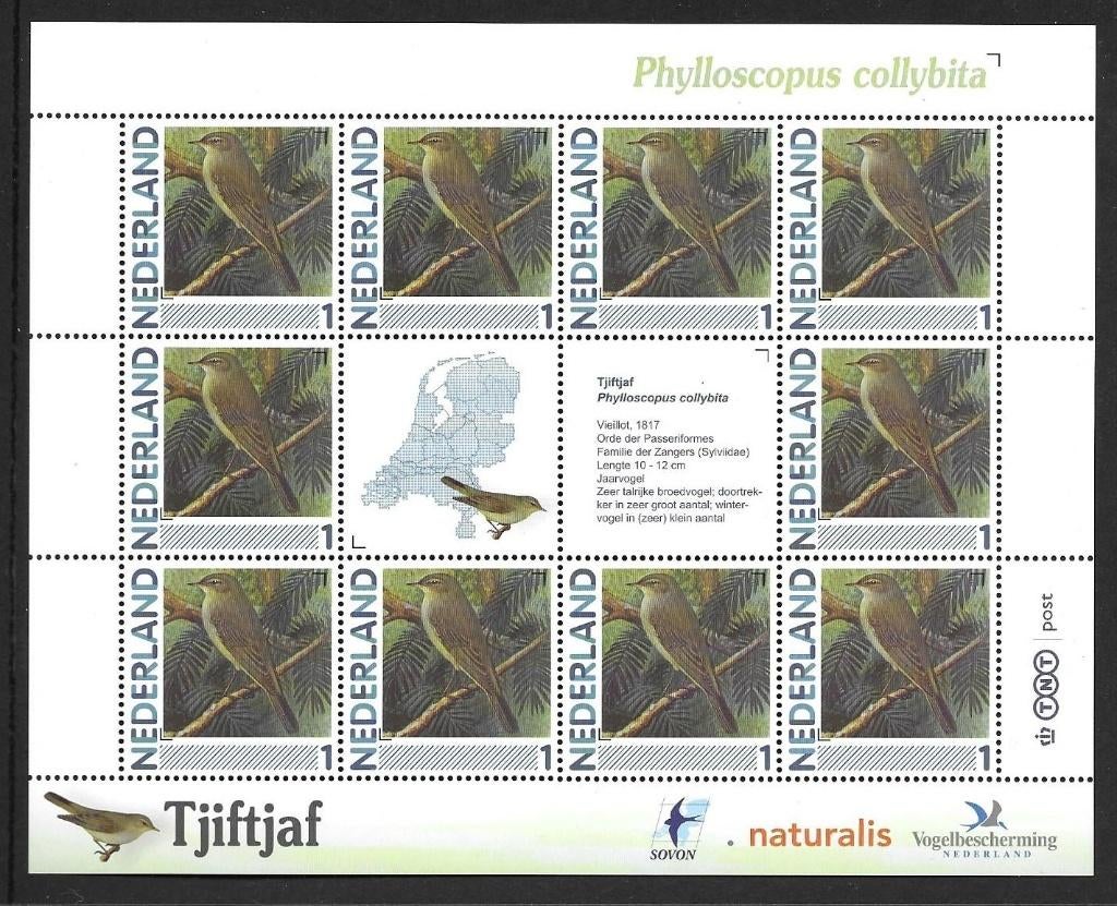 Vel persoonlijke zegels, Vogels Tjiftjaf postfris, Postzegels en Munten, Postzegels | Nederland, Ophalen of Verzenden, Postfris