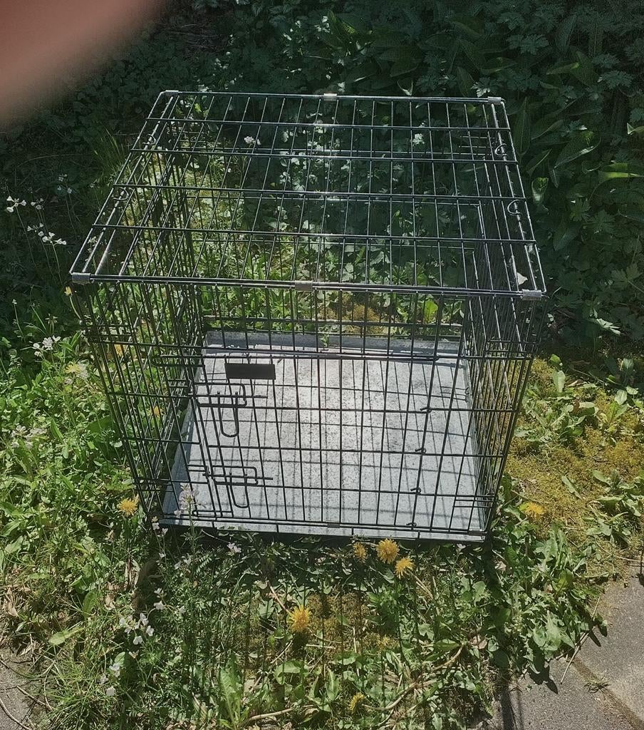 Hondenbench, Dieren en Toebehoren, Hondenbenches, Ophalen