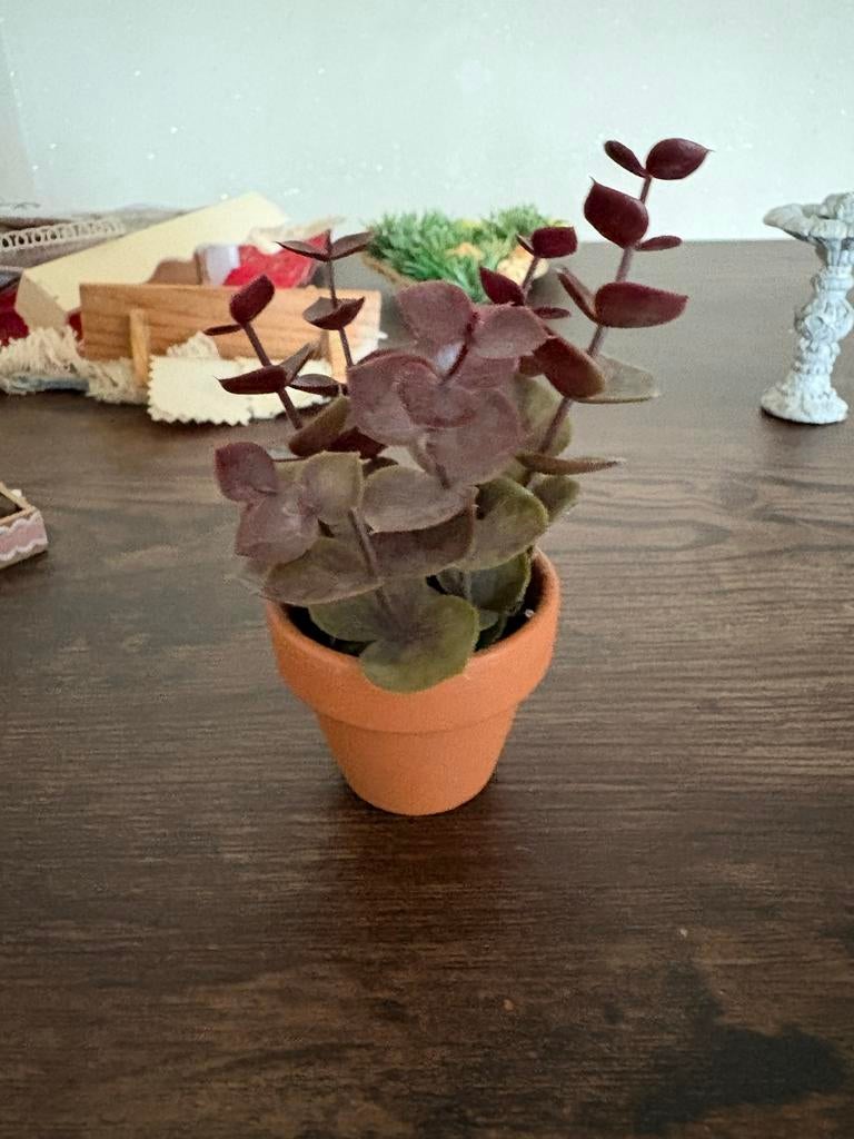 Miniatuur plantjes en hekje en meer voor poppenhuis, Ophalen of Verzenden, Gebruikt, Decoratie