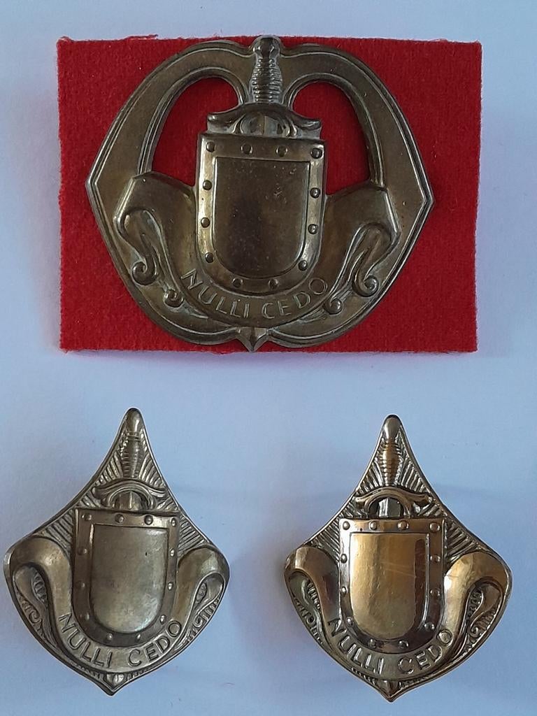 Set emblemen jaren 50 Infanterie algemeen, Ophalen of Verzenden, Landmacht, Nederland, Embleem of Badge