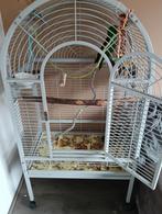 Kooi papagaai kooi grote vogelkooi, Ophalen, Metaal, Vogelkooi
