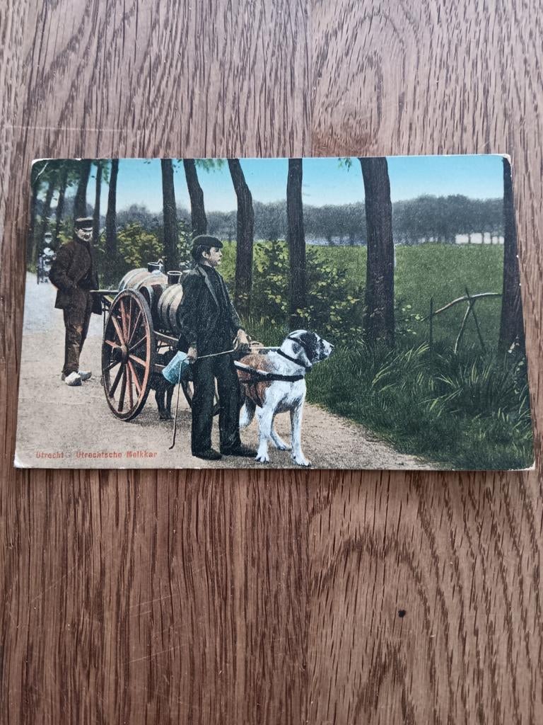 Ansichtkaart Utrechtse Melkkar met Hond uit 1914, Ophalen of Verzenden, Voor 1920, Gelderland