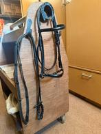 Hoofdstel lage neusriem cob zwart, Ophalen of Verzenden, Gebruikt