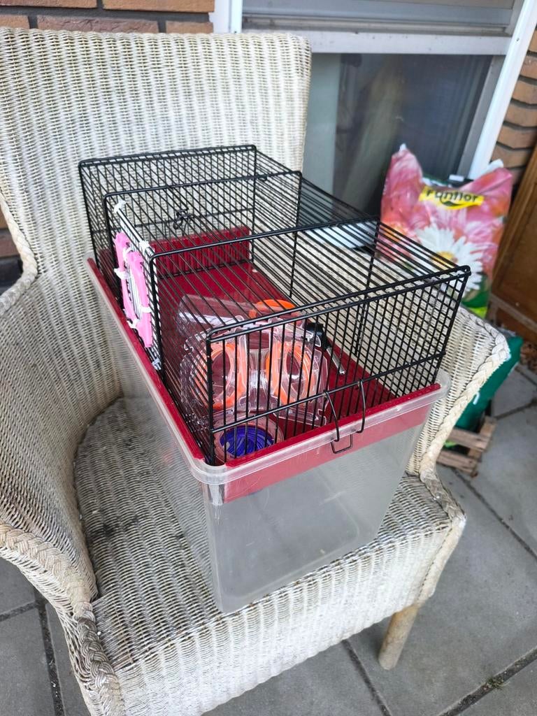 Reishokje knaagdier tjes 10 eu, Dieren en Toebehoren, Ophalen, Minder dan 75 cm, Kooi, Minder dan 60 cm