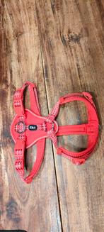 Y-tuigje maat xs, Ophalen of Verzenden, Zo goed als nieuw