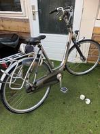 Gazelle fiets met 7 versnellingen, Versnellingen, Ophalen of Verzenden, Gazelle, 53 tot 56 cm