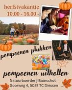pompoenen, Ophalen, Nieuw