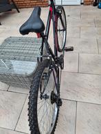Mountainbike, Fietsen en Brommers, Fietsen | Mountainbikes en ATB, Heren, Nieuw, 49 tot 53 cm, Geen vering