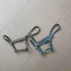 Halsters maat FULL, Dieren en Toebehoren, Paarden en Pony's | Hoofdstellen en Tuigage, Ophalen of Verzenden, Zo goed als nieuw