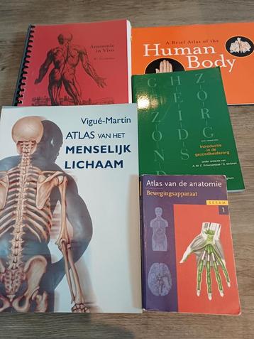 Anatomie Boeken - Atlas van het Menselijk Lichaam beschikbaar voor biedingen