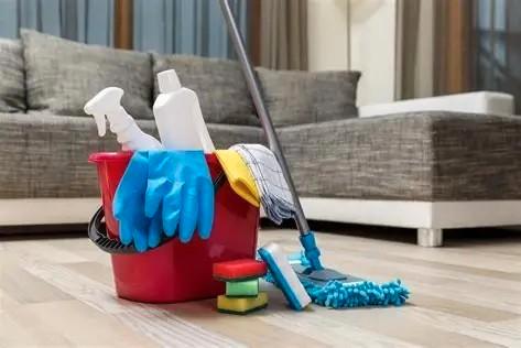 Gezocht: Betrouwbare werkster voor 4 uur per week Ottoland, Vacatures, Vacatures | Schoonmaak en Facilitaire diensten, Overige vormen