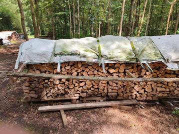 haardhout beschikbaar voor biedingen