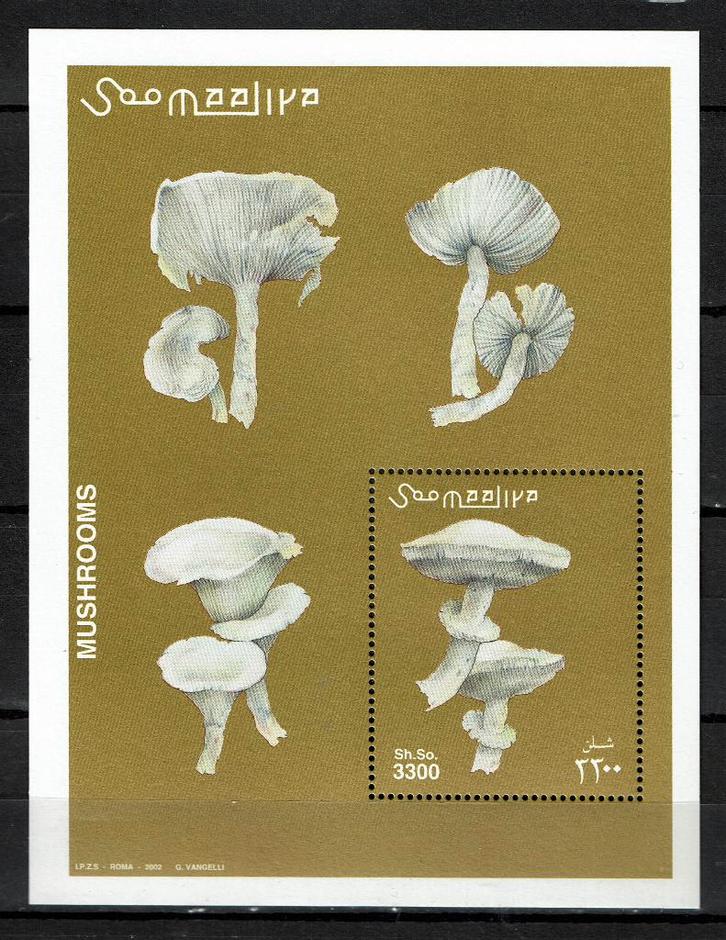 SOMALIE 2002 PF BLOK PADDENSTOELEN MUSHROOMS FLORA, Postzegels en Munten, Postzegels | Thematische zegels, Postfris, Dier of Natuur