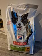Hills science plan senior, Dieren en Toebehoren, Ophalen, Hond