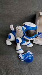 Teksta robot hond, Ophalen of Verzenden