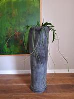 Bloempot/Vaas van GOMMAIRE, Huis en Inrichting, Ophalen, Nieuw, Aardewerk of Porselein, 75 cm of meer