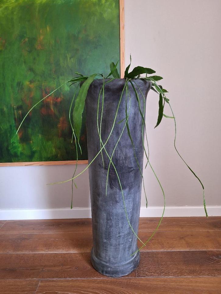 Bloempot/Vaas van GOMMAIRE, Huis en Inrichting, Woonaccessoires | Vazen, Nieuw, 75 cm of meer, Aardewerk of Porselein, Ophalen