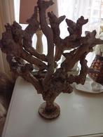 Decoratieve druiven stronk, Ophalen, Overige kleuren, 50 tot 75 cm