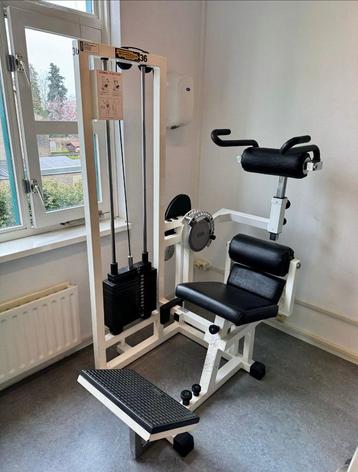 Technogym Isotonic Line Abdominal beschikbaar voor biedingen