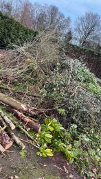 GRATIS hout, Minder dan 3 m³, Ophalen