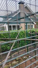 Splender parkieten, Dieren en Toebehoren, Vogels | Toebehoren, Ophalen of Verzenden, Gebruikt, Kooi-accessoires