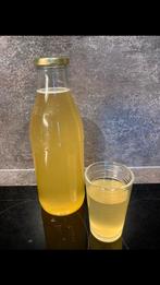 Kombucha scoby, Ophalen