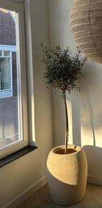 Beige bloempot, Ophalen, Rond, Minder dan 25 cm