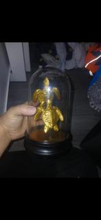 Stolp met goud schildpad, Ophalen, Nieuw