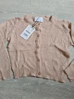 Zara splinternieuw vest.maat 134, Kinderen en Baby's, Kinderkleding | Maat 134, Meisje, Trui of Vest, Nieuw, Ophalen of Verzenden