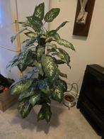 Grote Kunstplant - Net Echt! 150cm, Ophalen