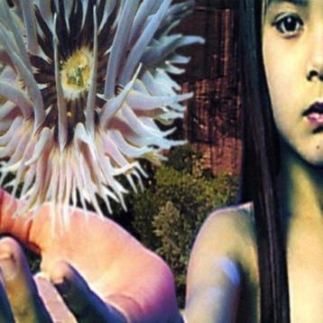 2CD: The Future Sound Of London – Lifeforms beschikbaar voor biedingen