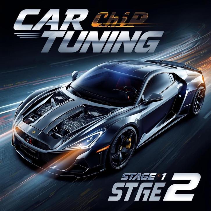 #chiptuning #stage1 #opmaat #oplocatie #stage2 #egr #adblue, Auto diversen, Tuning en Styling, Ophalen