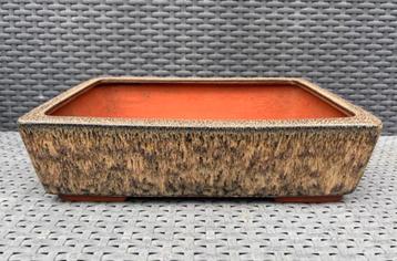 Bonsai Tokoname pot Yozan crème-bruin-zwart 34x26x9 beschikbaar voor biedingen