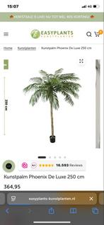 Kunst Palmboom - Decoratief & Onderhoudsvrij!, Huis en Inrichting, Ophalen of Verzenden, Nieuw, Binnen