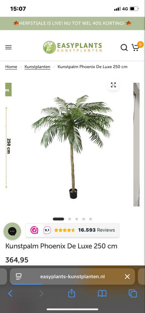 Kunst Palmboom - Decoratief & Onderhoudsvrij!, Huis en Inrichting, Woonaccessoires | Kunstplanten en Kunstbloemen, Nieuw, Binnen