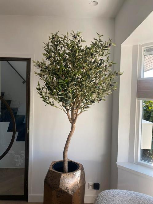 Olijfboom Groen H180 - Merk Pot & Vaas, Huis en Inrichting, Woonaccessoires | Kunstplanten en Kunstbloemen, Nieuw, Binnen, Ophalen of Verzenden
