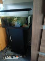 Aqarium 60x30, Dieren en Toebehoren, Vissen | Aquaria en Toebehoren, Ophalen